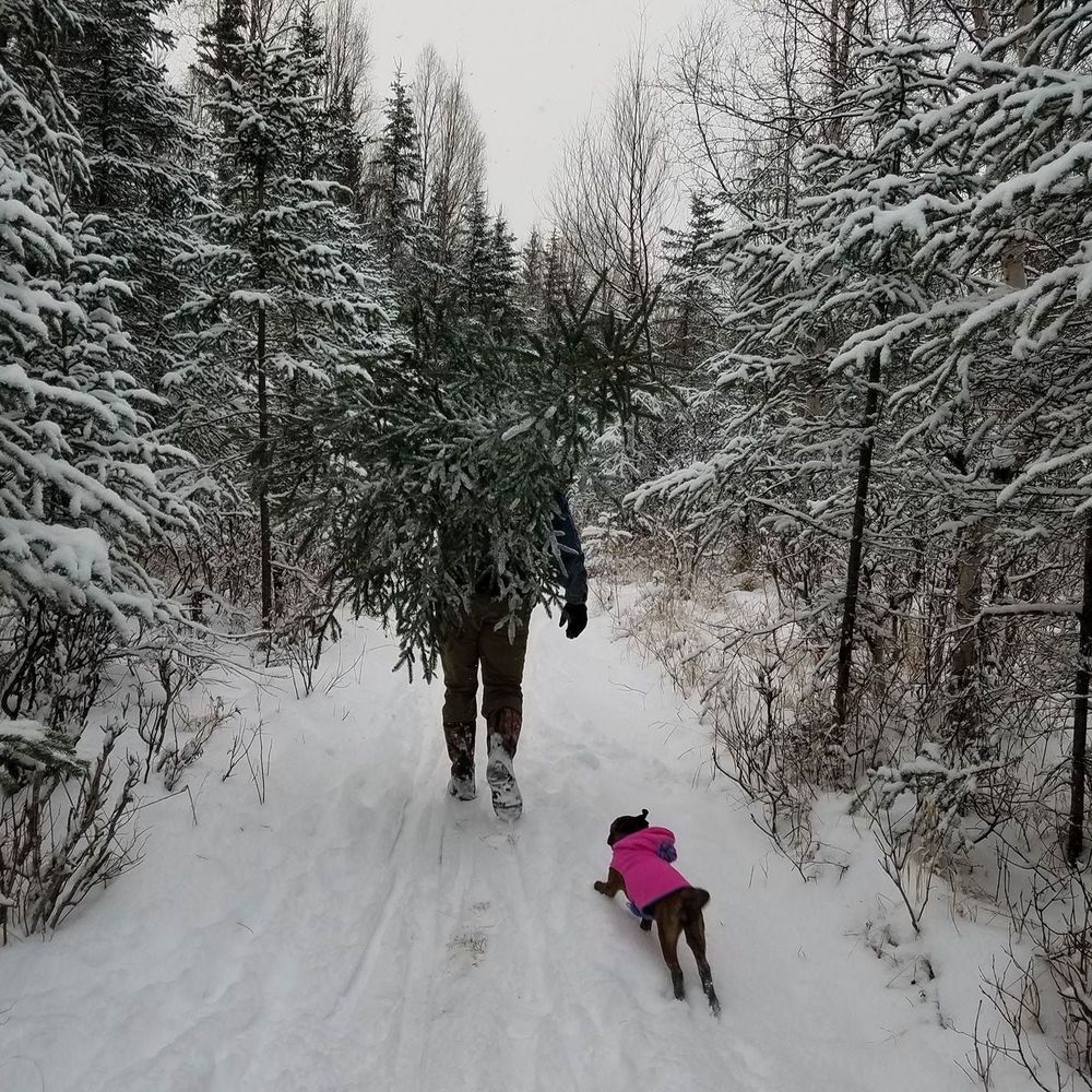 Meet your Posher, Mandy